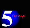 Chapter 5 - Surveys